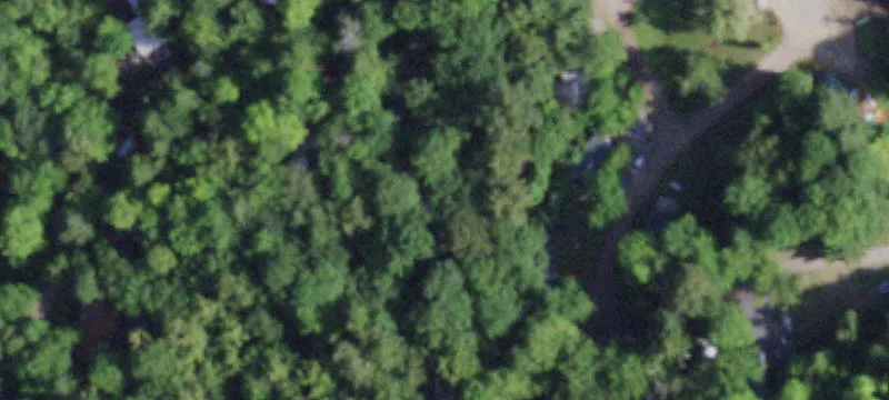 1204 Palisades Rd