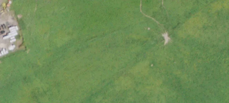 2053 State Hwy 29
