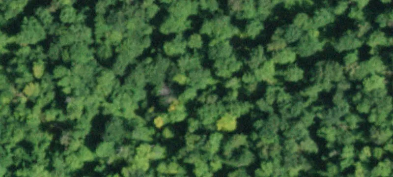 295 Lk Desolation Rd