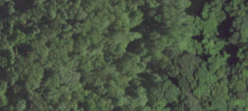 2310 Rte 22