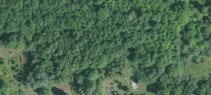 5254 Rte 11