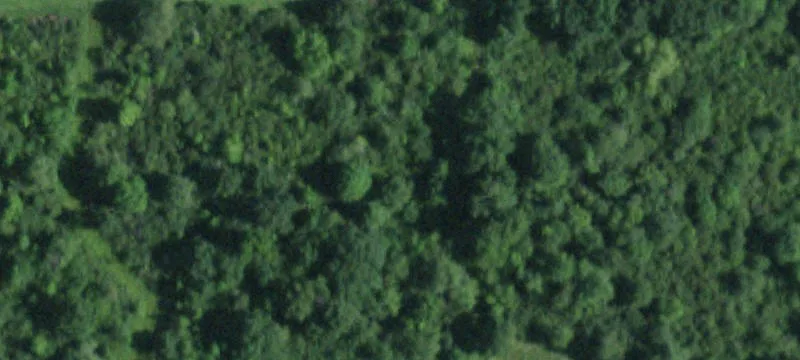 8402 Gulf Rd