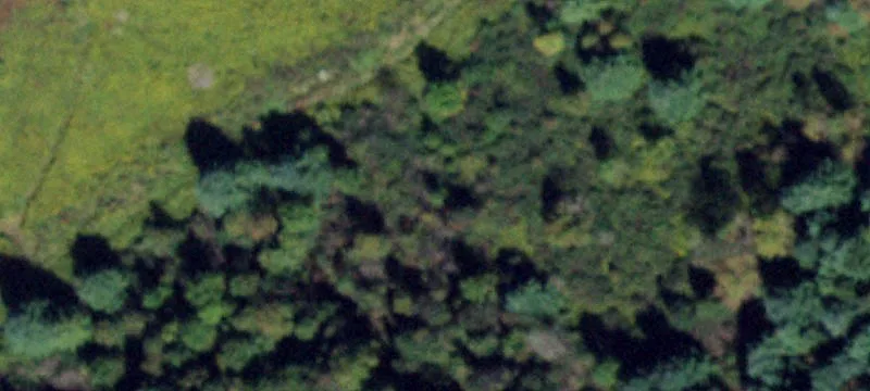 1246 State Rte 38