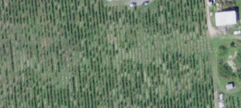 929 Davy Rd