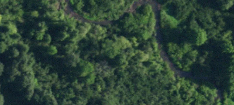 3025 Rte 426