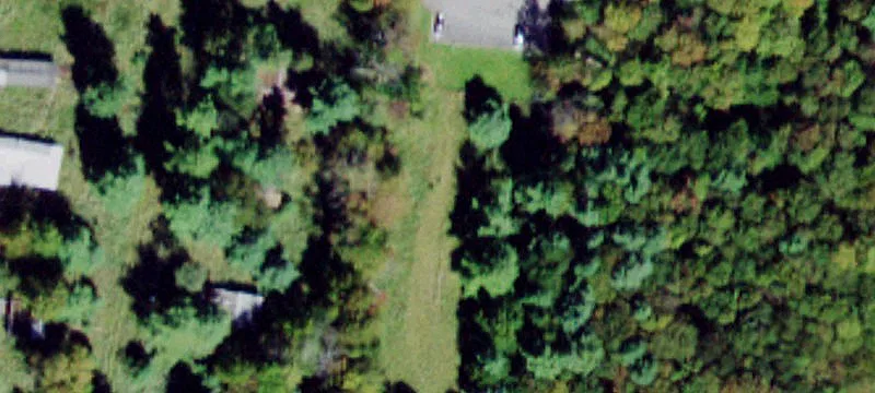 96100 Bridgeville Rd