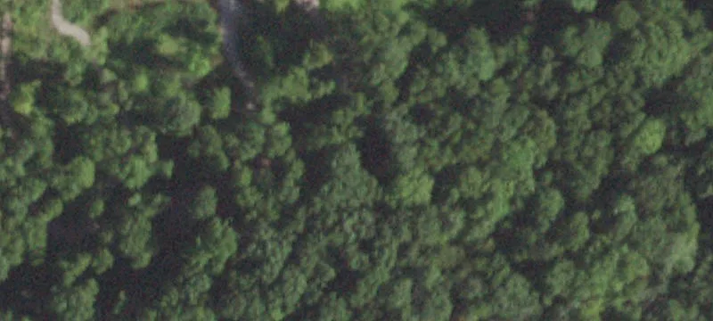 361 Rte 164