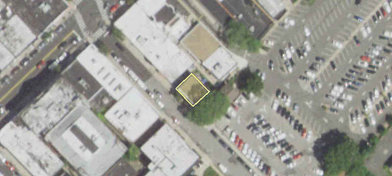 82 Spruce St