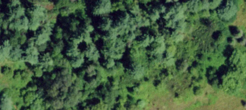 65 Reynolds Rd