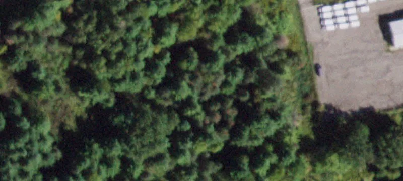 32 Arbutus Rd