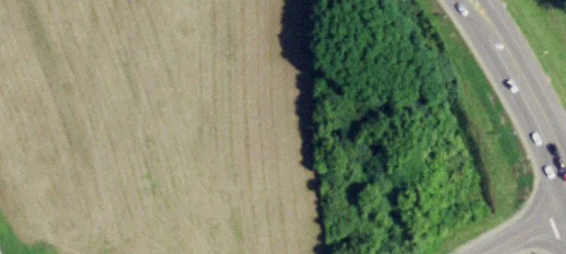 3336 Rte 394