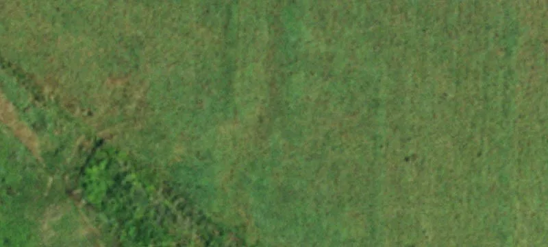 10370 Middle Rd