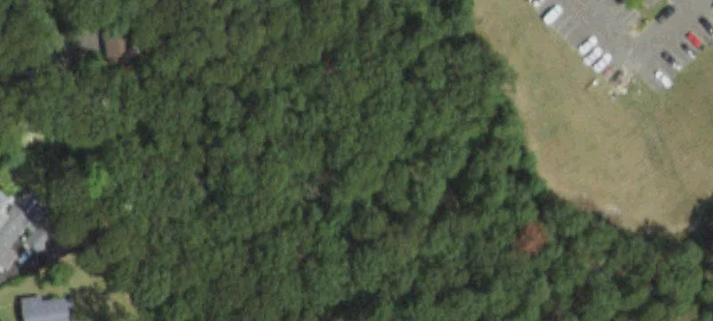 448 Middle Country Rd