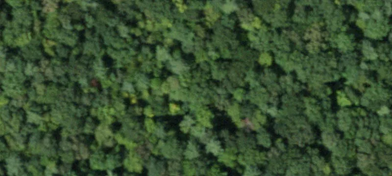 451 Cresson Hl Rd