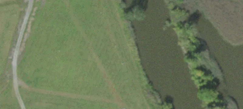 585 Bch Rd