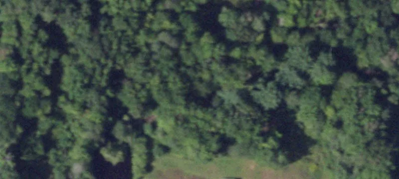 1063 State Rte 49