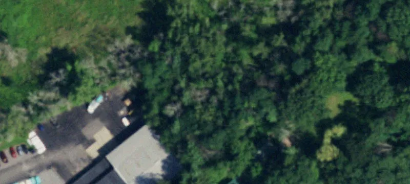 558 Buffalo Rd