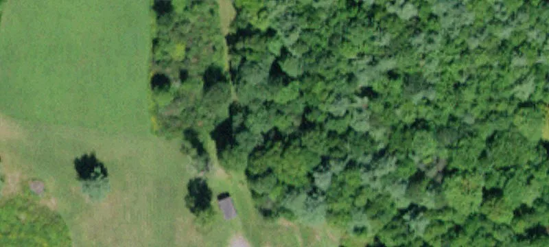 161 Montgomery Holw Rd