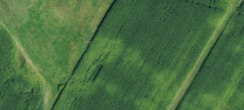 9906 Gowanda State Rd