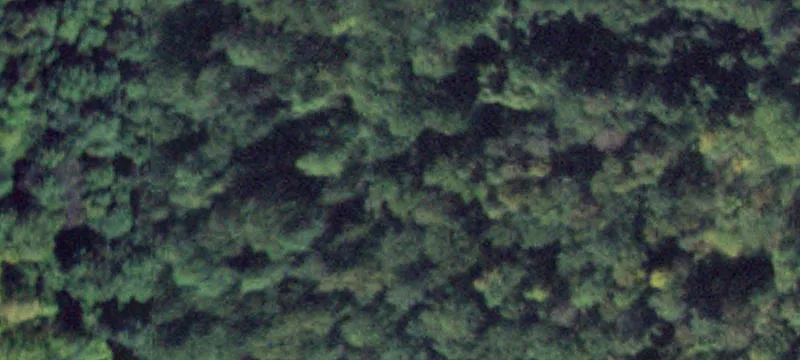 12462 Rdg Rd
