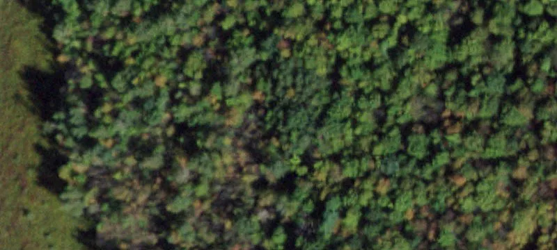 60 Kot Rd