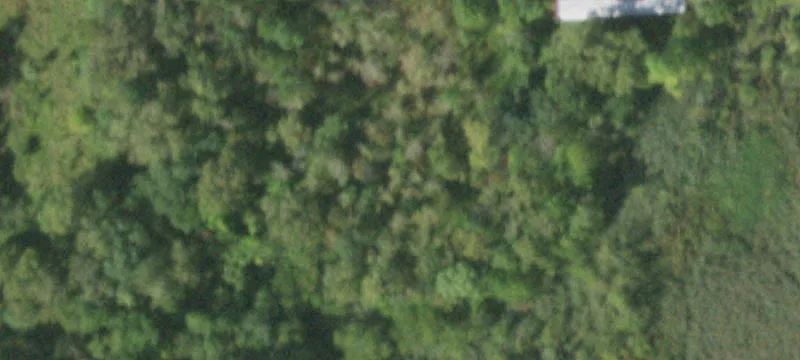 1529 Rte 202