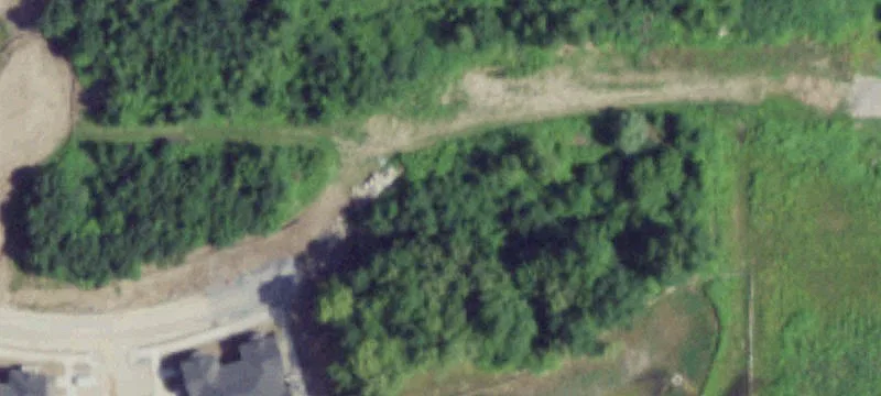 41 Coy St
