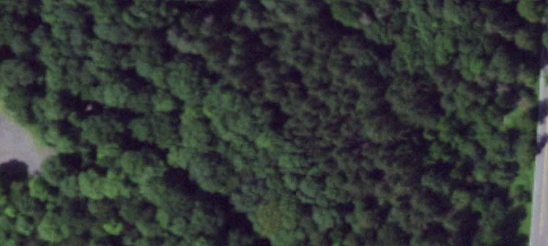 Fayetteville, NY 13066
