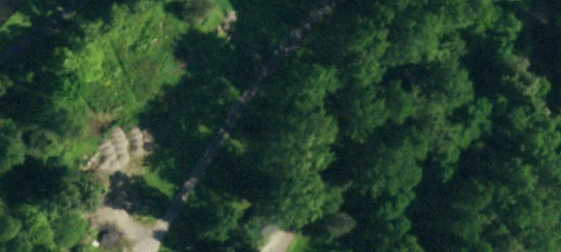 7134 Olean Rd