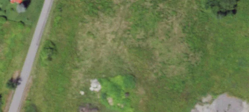 2950 State Rte 49