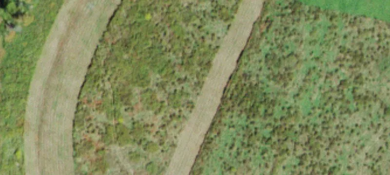 321 Swiss Hl Rd