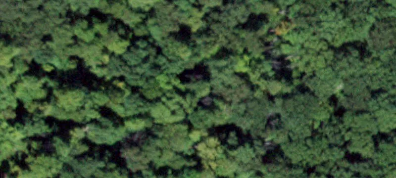 318 Mineral Spgs Rd