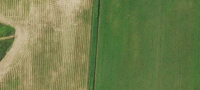 29-17674 Holland Glnwd