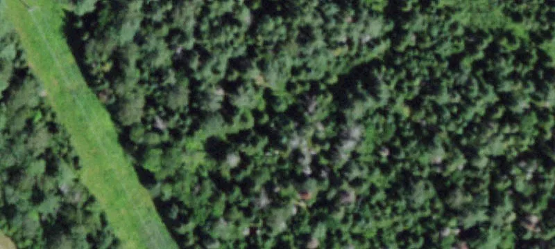 564 Mckenzie Pond Rd