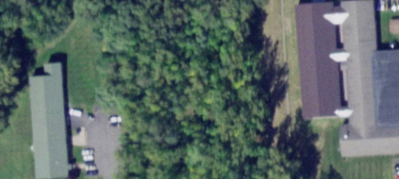 77 Rotterdam Rd