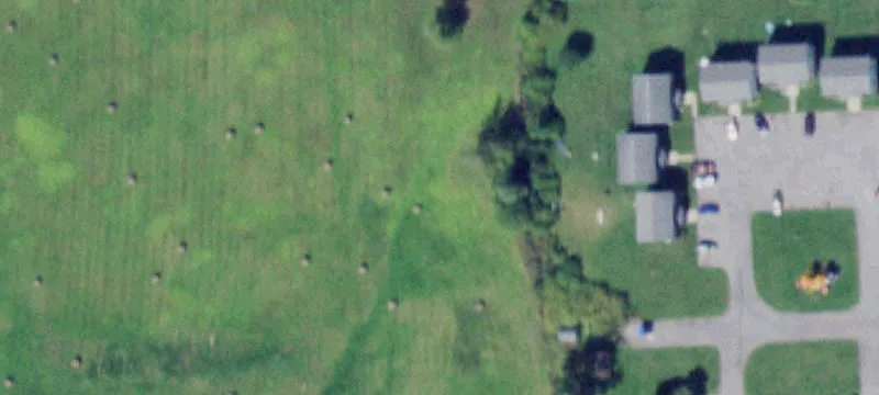65 Rotterdam Rd