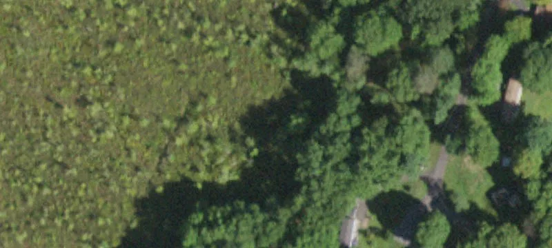 19 Eisgruber Park Ln