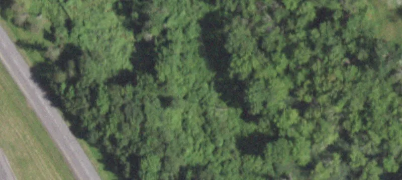 228 Rte 311