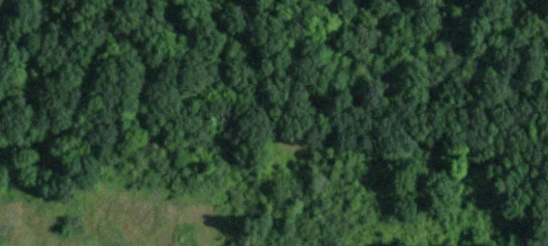 8259 Gulf Rd