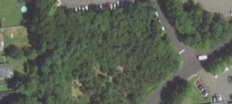10 Alexander Blvd