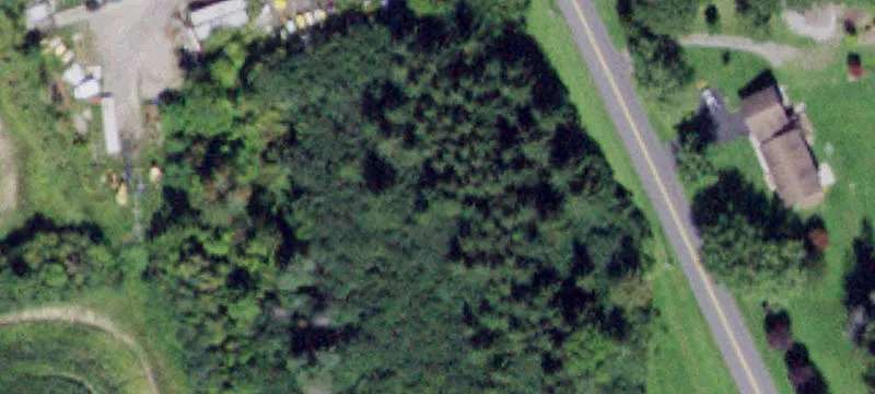 Mutton Hl Rd