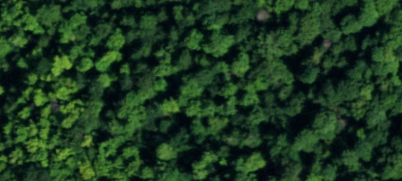 10708 Hammond Hl Rd
