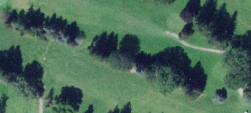 33 Packwood Rd