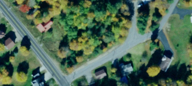 41 Youngs Rd