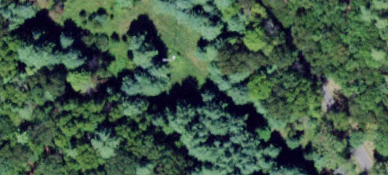 229 Irish Cpe Rd