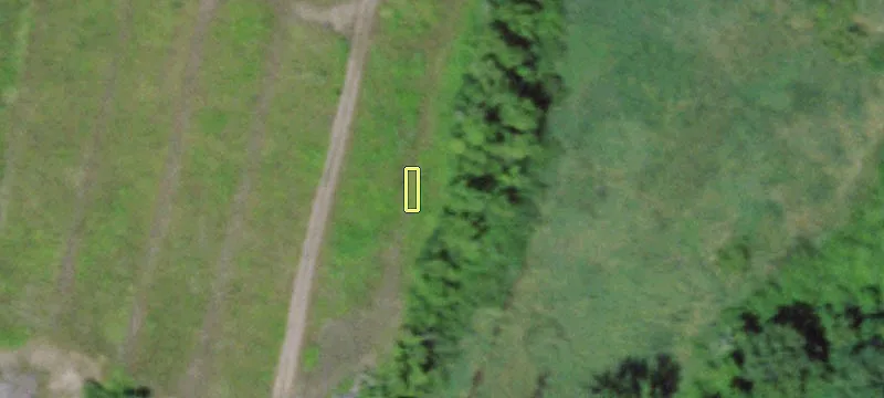 10333 Us Rte 11