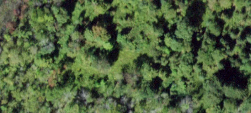 100 Estrada Rd