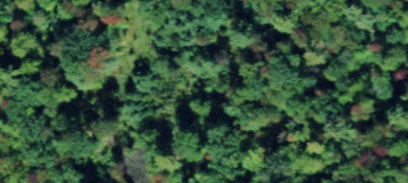 12508 12510th Sh 37