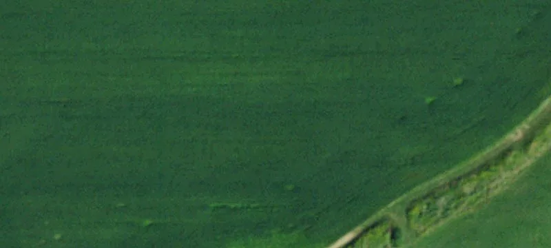 3 Bayerl 3