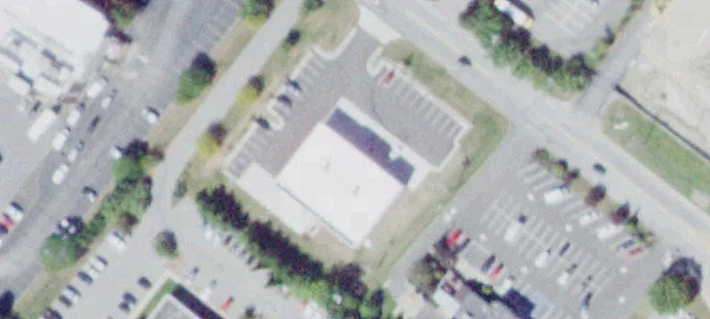 31 Matthews St